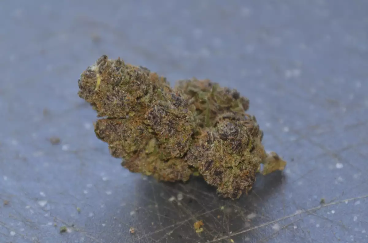 purple dream